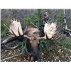 Image 1 : YUKON BIG GAME: 11-Day Alaska- Yukon Moose Hunt for One Hunter in Canada's Yukon - Includes Trophy F