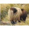 Image 1 : KIWI SAFARIS: 5-Day/4-Night Himalayan Tahr Hunt for Four Hunters and Four Non-Hunters in New Zealand