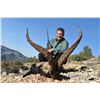 Image 1 : SALVA MONFORTE: 4-Day Beceite Ibex Hunt for Two Hunters in Spain - Includes Trophy Fees
