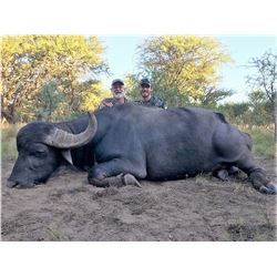 TGB OUTFITTERS: 7-Day Water Buffalo and Boar Hunt for One Hunter and One Non-Hunter in Argentina - I
