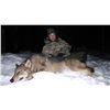 Image 2 : HUNT CONSORTIUM:5-Day Chamois OR Wolf Hunt for One Hunter and One Observer in Macedonia - Includes T