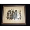 Owls, framed print from Studer's Birds 1879 edition