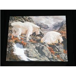 Mountain Goat Print