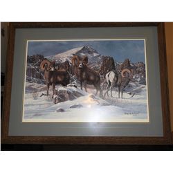 "North Fork Rams" by Gary Swanson