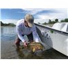 2 - DAY / 3 - NIGHT CARP FLY-FISHING FOR TWO ON THE MISSOURI RIVER IN MONTANA (100% FULLY DONATED) G