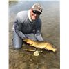 Image 3 : 2 - DAY / 3 - NIGHT CARP FLY-FISHING FOR TWO ON THE MISSOURI RIVER IN MONTANA (100% FULLY DONATED) G