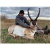 Image 2 : ANTELOPE HUNT IN ALBERTA FOR 1 HUNTER  (100% OF THE PROCEEDS TO BE DIRECTED TO 1 CAMPFIRE INITIATIVE