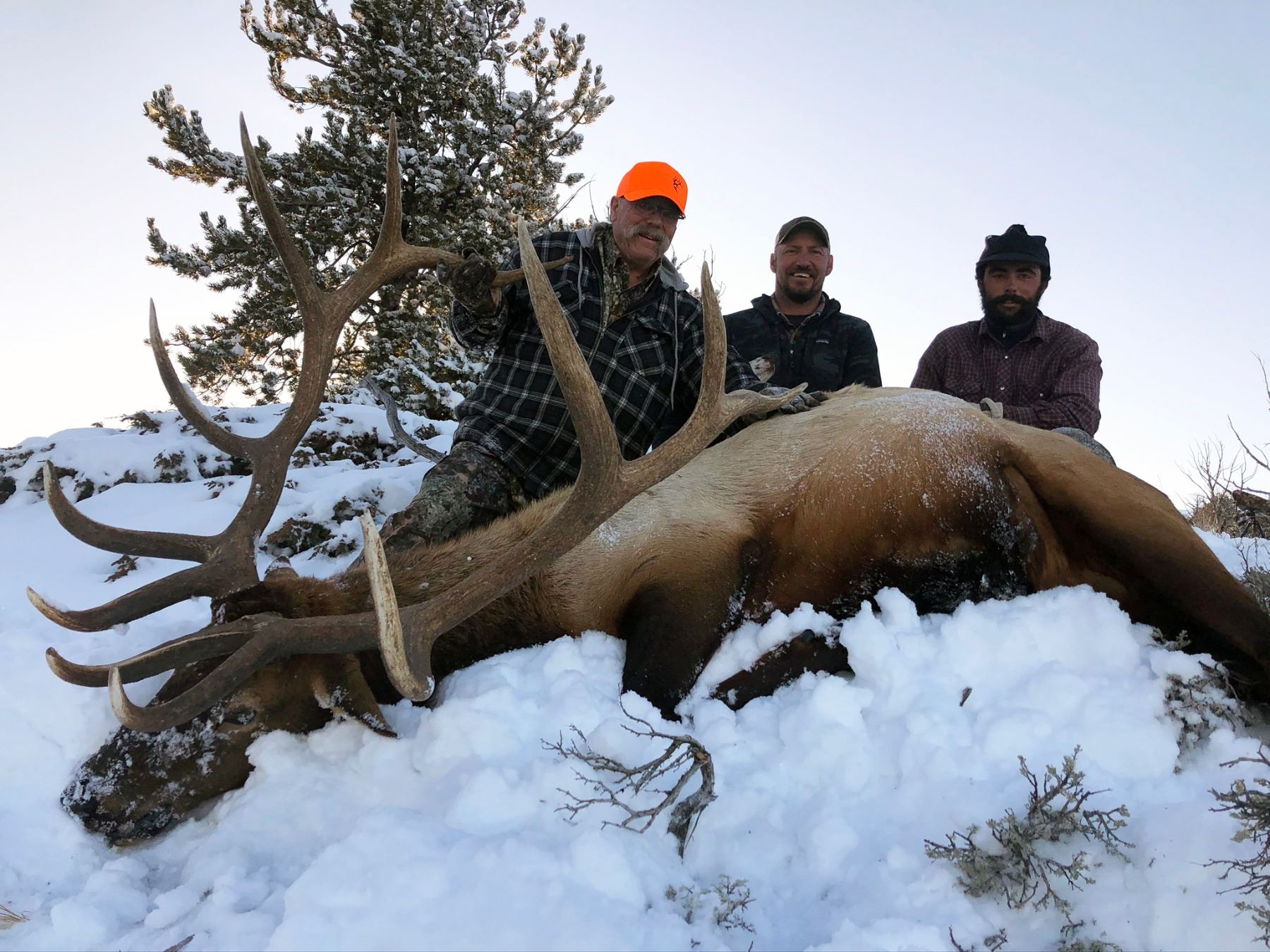 WYOMING GAME & FISH COMMISSIONER’S 2020 ELK/DEER/PRONGHORN LICENSE