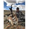 Image 2 : WYOMING GAME & FISH COMMISSIONER’S 2020 ELK/DEER/PRONGHORN LICENSE WYOMING GAME & FISH DEPARTMENT
