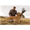 Image 5 : WYOMING GAME & FISH COMMISSIONER’S 2020 ELK/DEER/PRONGHORN LICENSE WYOMING GAME & FISH DEPARTMENT