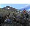 Image 2 : 5 - DAY BALKAN CHAMOIS HUNT IN EUROPE FOR 2 HUNTERS (Trophy Fee for 1 Chamois and Daily Rates for 2 