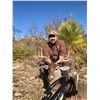 Image 2 : 4 - DAY ARCHERY CARMEN MOUNTAIN WHITETAIL DEER & RIO GRANDE WILD TURKEY HUNT FOR 1 HUNTER AND 1 NON-