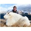 Image 2 : COLORADO ROCKY MOUNTAIN GOAT LICENSE ROCKY MOUNTAIN BIGHORN SOCIETY