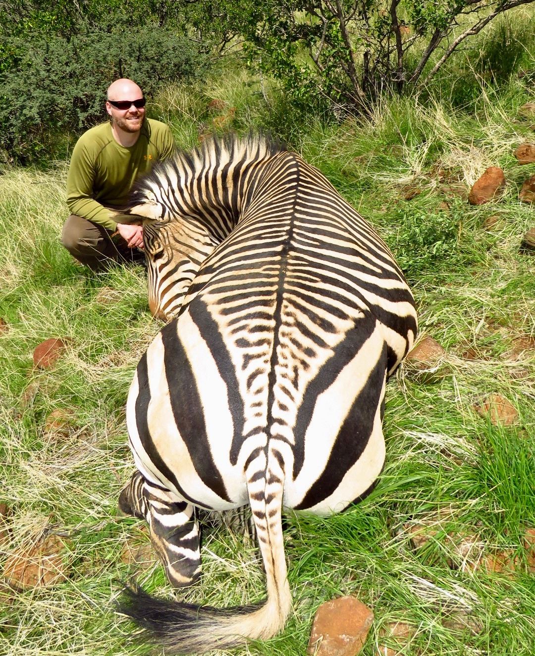 7 - DAY MOUNTAIN ZEBRA HUNT FOR 1 HUNTER IN THE ERONGO MOUNTAINS OF ...