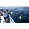 Image 4 : 4 - DAY/3-NIGHT EL CARMEN ISLAND FISHING VACATION FOR 4 ANGLERS MEXICO HUNTS/SERGIO JIMENEZ