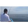 Image 5 : 4 - DAY/3-NIGHT EL CARMEN ISLAND FISHING VACATION FOR 4 ANGLERS MEXICO HUNTS/SERGIO JIMENEZ