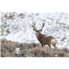 Image 2 : NEVADA UNIT 231 PRIVATE OWNERS DEER TAG - FOR 1 HUNTER (100% FULLY DONATED)  PEPPERMILL CASINO & GEY