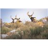 Image 3 : NEVADA UNIT 231 PRIVATE OWNERS DEER TAG - FOR 1 HUNTER (100% FULLY DONATED)  PEPPERMILL CASINO & GEY