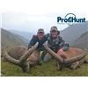 Image 2 : 6 - DAY MID-CAUCASIAN TUR HUNT FOR 1 HUNTER (Trophy Fee Included) PROFIHUNT LTD.