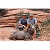 Image 2 : UTAH DIRTY DEVIL HENRY MOUNTAINS / LA SAL / SAN JUAN / DESERT SHEEP PERMIT UTAH WSF