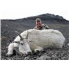 Image 2 : 10 - DAY MOUNTAIN GOAT/CARIBOU or MOOSE HUNT IN BRITISH COLUMBIA FOR 1 HUNTER (Trophy fee included)