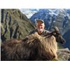 Image 2 : 5 - DAY NEW ZEALAND HUNT FOR 2 HUNTERS FOR 2X RED STAG & 1X TAHR & 1X CHAMOIS (Trophy fees for 2 red