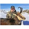 Image 3 : 5 - DAY NEW ZEALAND HUNT FOR 2 HUNTERS FOR 2X RED STAG & 1X TAHR & 1X CHAMOIS (Trophy fees for 2 red