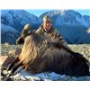 Image 4 : 5 - DAY NEW ZEALAND HUNT FOR 2 HUNTERS FOR 2X RED STAG & 1X TAHR & 1X CHAMOIS (Trophy fees for 2 red