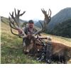 Image 8 : 5 - DAY NEW ZEALAND HUNT FOR 2 HUNTERS FOR 2X RED STAG & 1X TAHR & 1X CHAMOIS (Trophy fees for 2 red