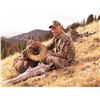 Image 2 : TAOS PUEBLO ROCKY MOUNTAIN BIGHORN SHEEP PERMIT- MOUNTAIN HUNT TAOS PUEBLO DIVISION OF NATURAL RESOU