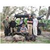 Image 4 : 3 - DAY HOG, GATOR AND TURKEY COMBO HUNT IN FLORIDA FOR 1 HUNTER & 1 NON-HUNTER WOUNDED WARRIOR OUTD