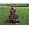 Image 7 : 3 - DAY HOG, GATOR AND TURKEY COMBO HUNT IN FLORIDA FOR 1 HUNTER & 1 NON-HUNTER WOUNDED WARRIOR OUTD