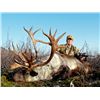 Image 2 : 9 - DAY MOUNTAIN GOAT OR CARIBOU HUNT IN BRITISH COLUMBIA FOR 1 HUNTER (100% FULLY DONATED FOR WSF T