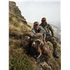 Image 3 : 4 - DAY IBERIAN MOUFLON SHEEP HUNT FOR 1 HUNTER AND 1 NON-HUNTER TROPHY HUNTING SPAIN
