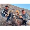 Image 2 : NAVAJO NATION DESERT BIGHORN PERMIT NAVAJO NATION DEPARTMENT OF FISH & WILDLIFE