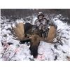 Image 4 : 10 - DAY MOOSE HUNT FOR 1 HUNTER IN NORTHWESTERN BRITISH COLUMBIA NORTHWEST BIG GAME OUTFITTERS LTD.