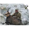 Image 2 : 8 - DAY HUNT FOR 3 HUNTERS. 1XRED STAG, 1XBULL TAHR & 1XALPINE CHAMOIS PER HUNTER (Trophy fees for r