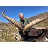 Image 2 : 14 - DAY SPANISH IBEX GRAND SLAM HUNT FOR 1 HUNTER (Trophy fees for SCI bronze medal Gredos, Ronda, 
