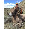 Image 10 : STATE OF MONTANA BIGHORN SHEEP LICENSE MONTANA FISH WILDLIFE & PARKS - WILDLIFE DIVISION