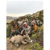 Image 5 : STATE OF MONTANA BIGHORN SHEEP LICENSE MONTANA FISH WILDLIFE & PARKS - WILDLIFE DIVISION