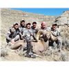 Image 7 : STATE OF MONTANA BIGHORN SHEEP LICENSE MONTANA FISH WILDLIFE & PARKS - WILDLIFE DIVISION