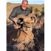 5 - DAY AOUDAD SHEEP HUNT ON THE WILLIAMS RANCH IN TEXAS FOR 1 HUNTER ROWDY MCBRIDE HUNTING SERVICES