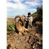 Image 5 : 5 - DAY AOUDAD SHEEP HUNT ON THE WILLIAMS RANCH IN TEXAS FOR 1 HUNTER ROWDY MCBRIDE HUNTING SERVICES