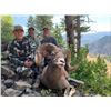 2020 OREGON BIGHORN SHEEP TAG OREGON DEPARTMENT OF FISH & WILDLIFE