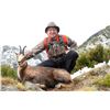 3 - DAY PYRENEAN OR CANTABRIAN CHAMOIS HUNT FOR 2 HUNTERS (Trophy fee for 1 Pyrenean or Cantabrian c