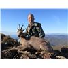 Image 7 : 3 - DAY PYRENEAN OR CANTABRIAN CHAMOIS HUNT FOR 2 HUNTERS (Trophy fee for 1 Pyrenean or Cantabrian c