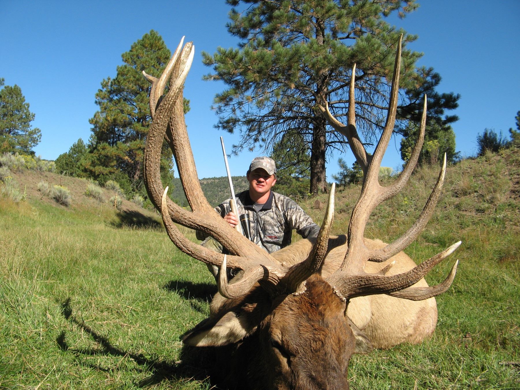 NEW MEXICO BIG GAME ENHANCEMENT PACKAGE NEW MEXICO DEPARTMENT OF GAME