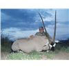 Image 8 : NEW MEXICO BIG GAME ENHANCEMENT PACKAGE NEW MEXICO DEPARTMENT OF GAME & FISH WILDLIFE MANAGEMENT DIV