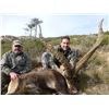 Image 3 : 10 - DAY HUNT IN SPAIN FOR 1 HUNTER AND THE CHOICE OF BRINGING 1 NON-HUNTER OR $4,000 CREDIT TOWARDS