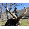 Image 5 : 10 - DAY HUNT IN SPAIN FOR 1 HUNTER AND THE CHOICE OF BRINGING 1 NON-HUNTER OR $4,000 CREDIT TOWARDS